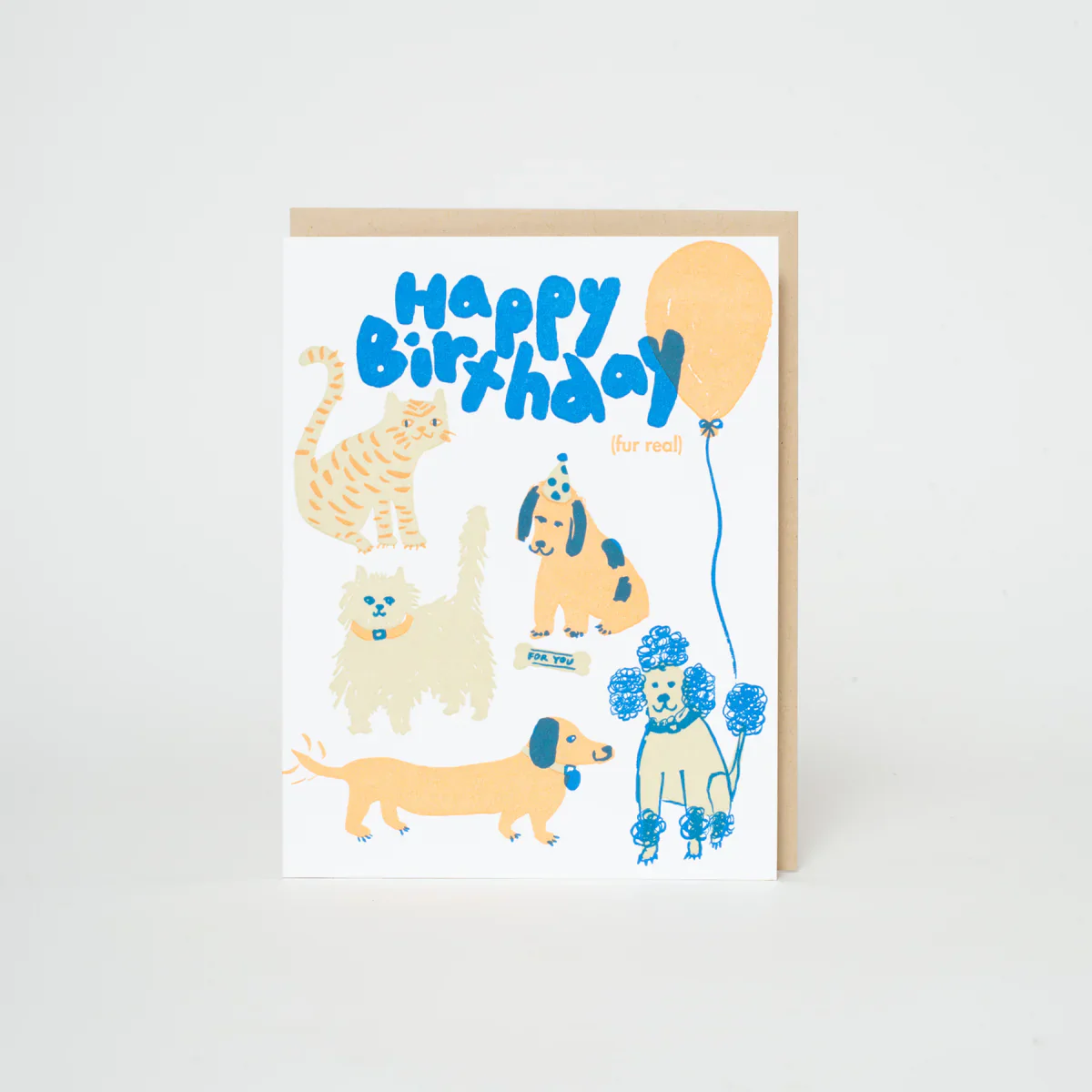 Birthday Dog & Cat Party