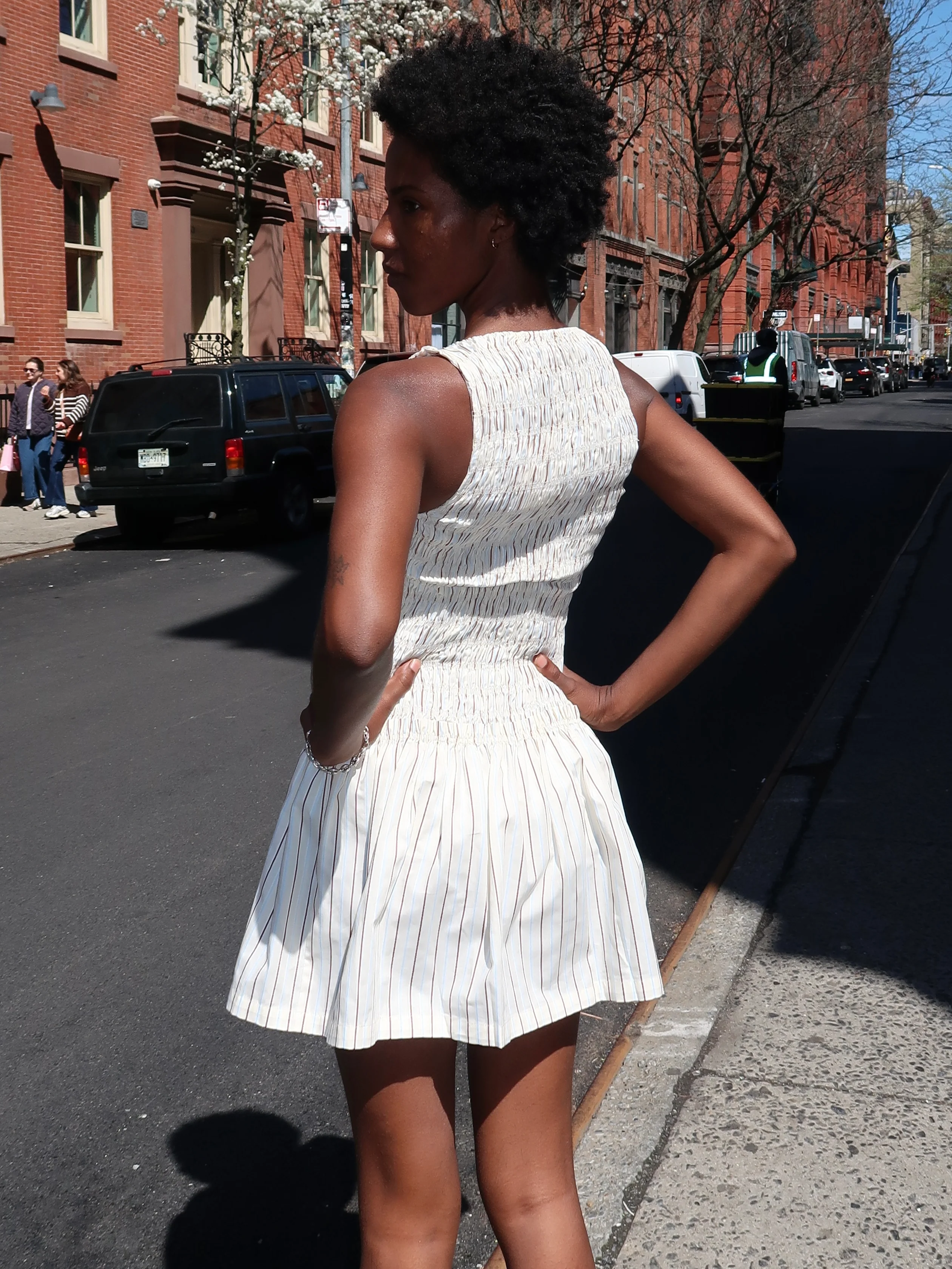 Maria Mini Dress in Fiori Stripe Lemon - Image 3