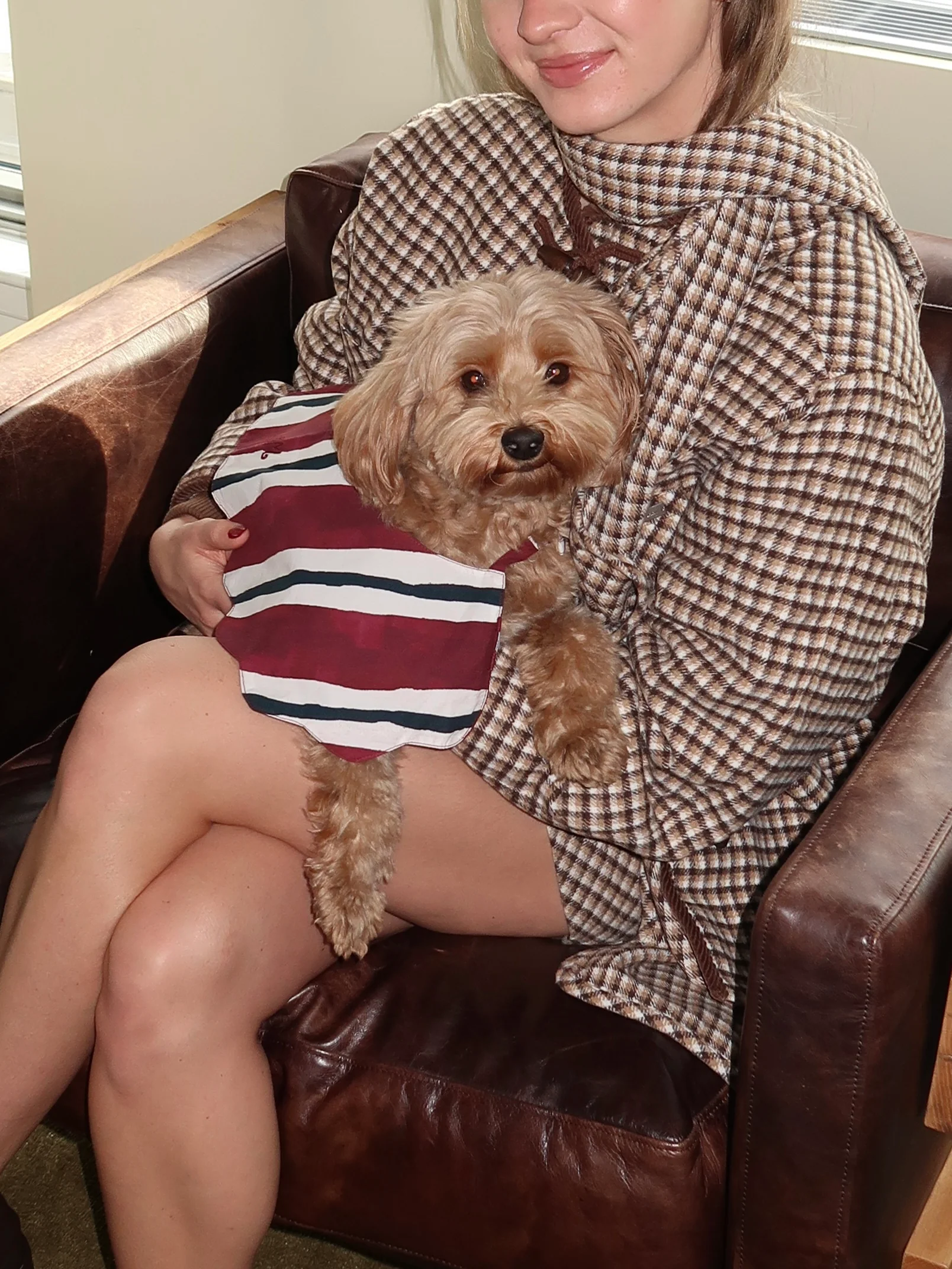 Novelty Wastage Collar in Burg Stripe - Image 3
