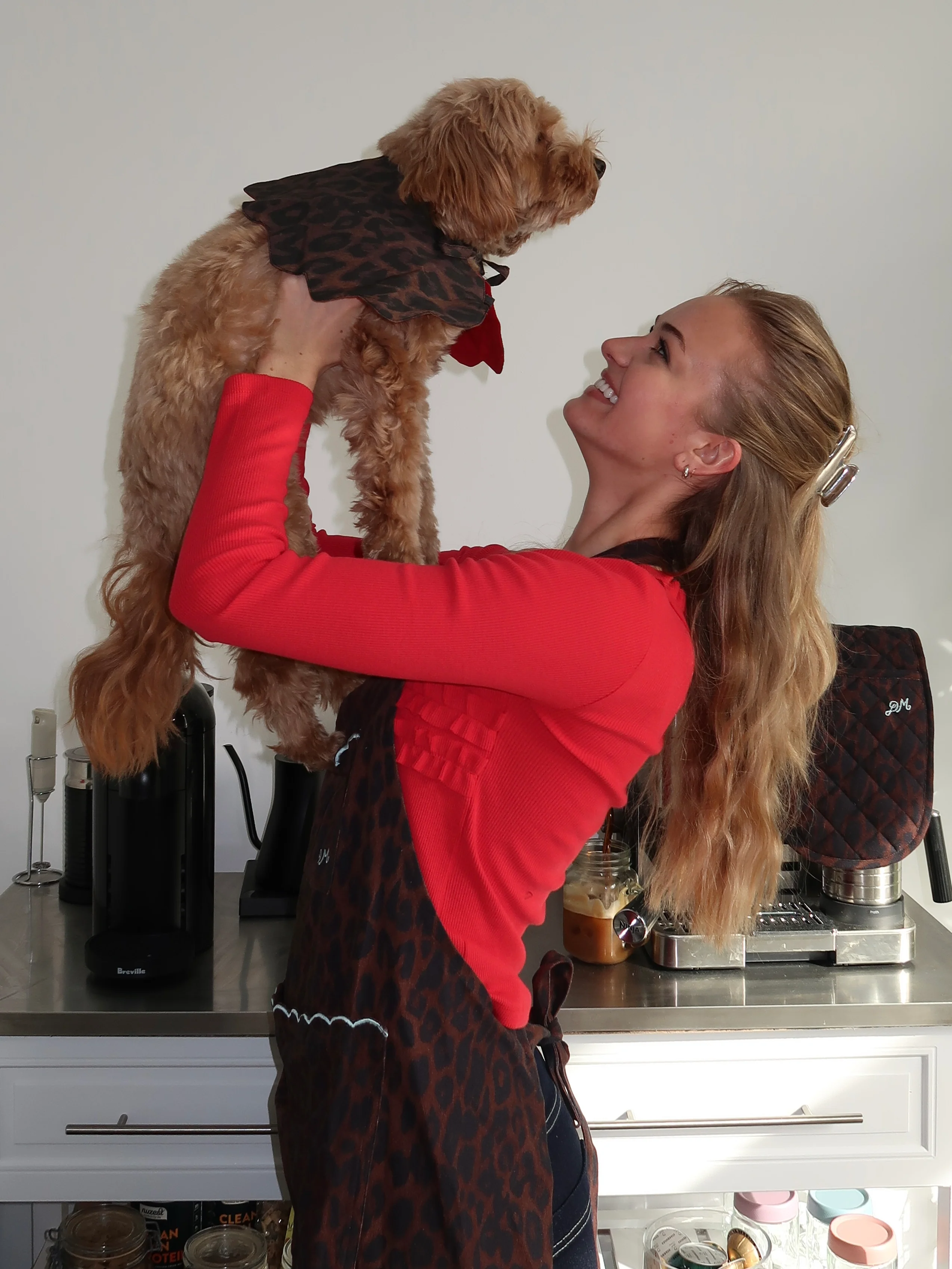 Novelty Wastage Collar in Dark Leopard - Image 4