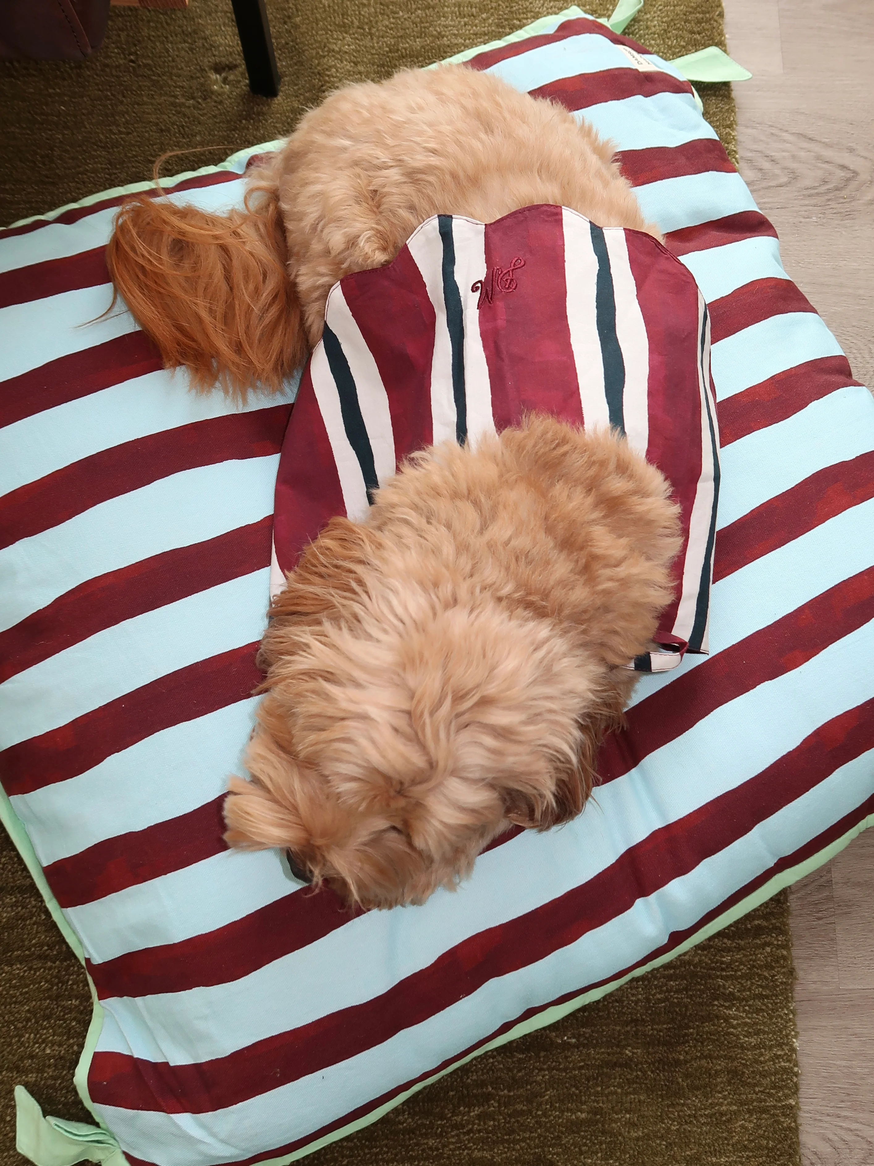 Pet Bed in Multi Stripe - Image 2