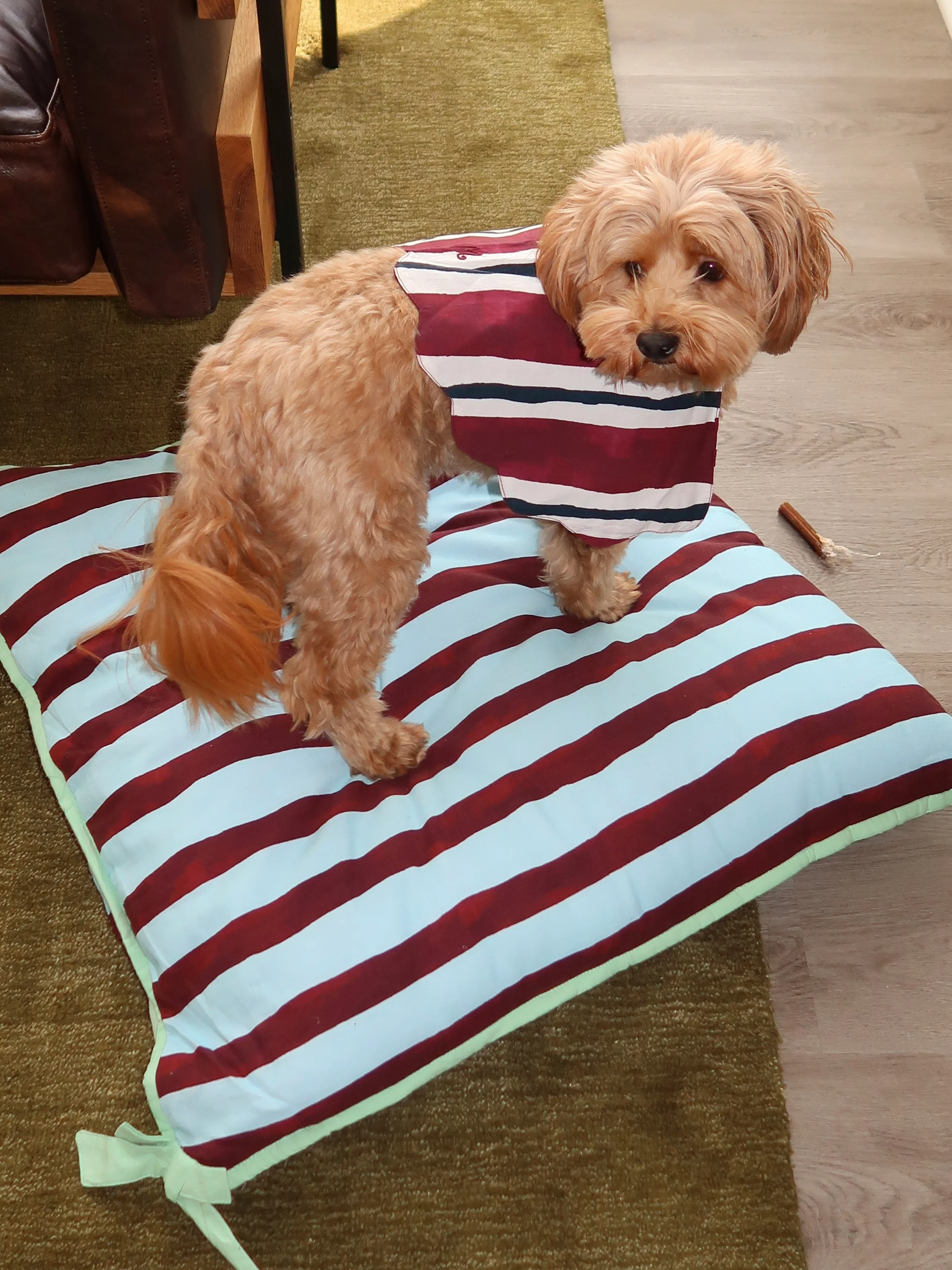 Pet Bed in Multi Stripe - Image 3