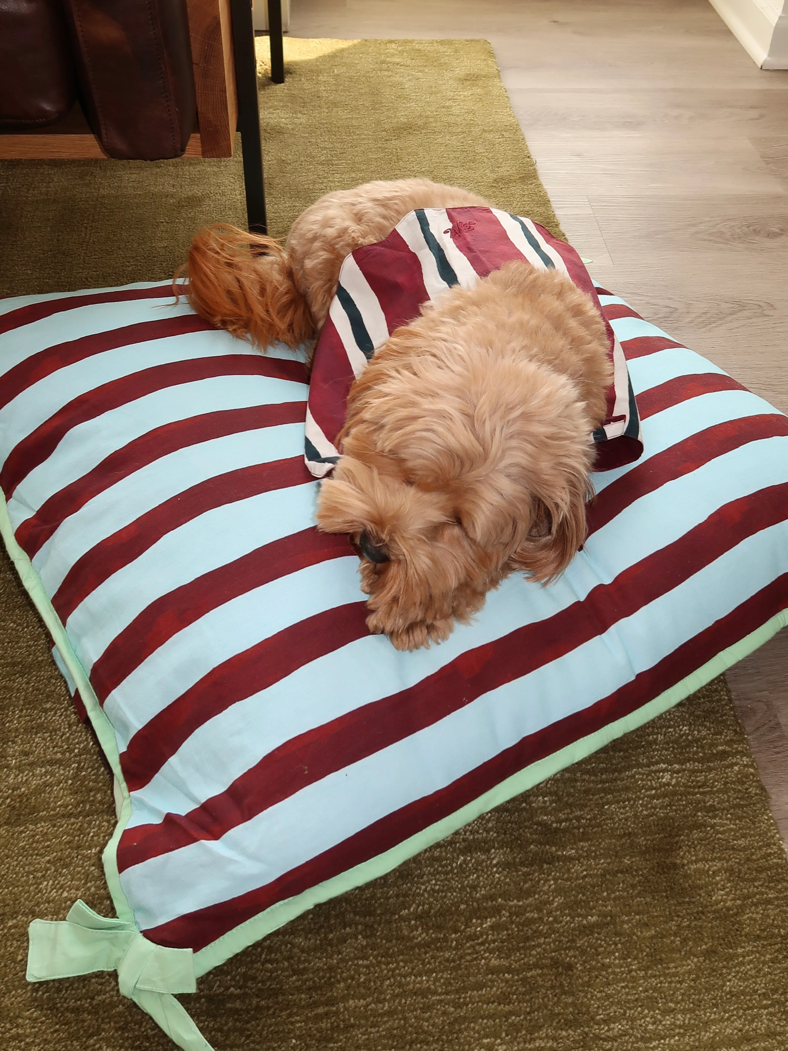 Pet Bed in Multi Stripe - Image 4